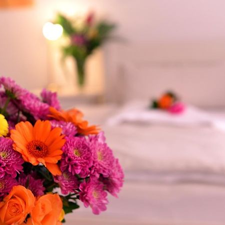 דיצנבאך Alpha Hotel Garni מראה חיצוני תמונה