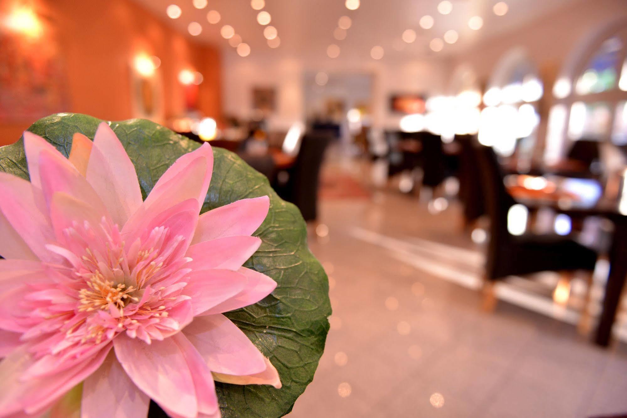 דיצנבאך Alpha Hotel Garni מראה חיצוני תמונה